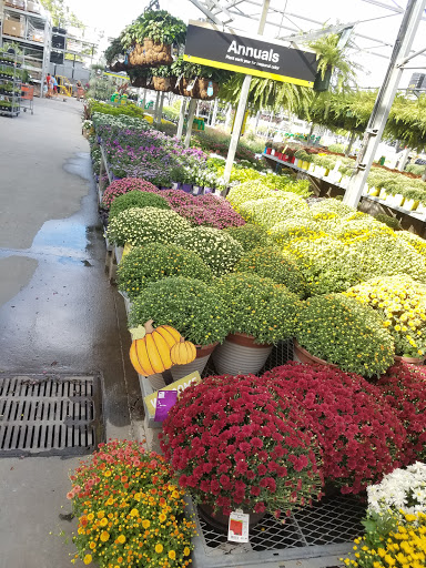 Home Improvement Store «The Home Depot», reviews and photos, 40 Park Pl Dr, Covington, LA 70433, USA