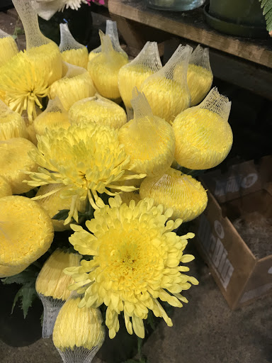 Florist «Brattle Square Florist», reviews and photos, 31 Brattle St, Cambridge, MA 02138, USA