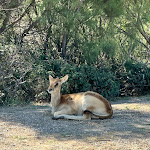 Photo n° 4 de l'avis de César.a fait le 24/07/2023 à 01:20 pour Réserve Africaine de Sigean à Sigean