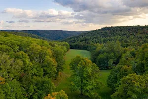 Better Place Forests - Berkshires image