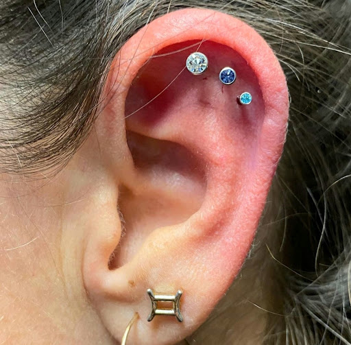 Explore blue jay tattoo ideas, creative tattoo ideas in Summerville, available at Exotic Impressions Body Piercing