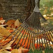 Fall Cleanup Service Nanaimo