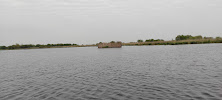 Parc naturel régional de Brière du Restaurant La Loge Briéronne à Saint-André-des-Eaux - n°3