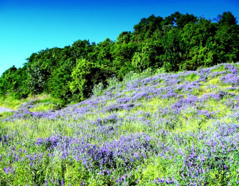 Golf Course «Harpeth Valley Golf Center», reviews and photos, 7629 Old Harding Pike, Nashville, TN 37221, USA