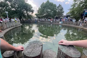 Minnesota State Fair DNR Building, Stage and Fish Ponds image