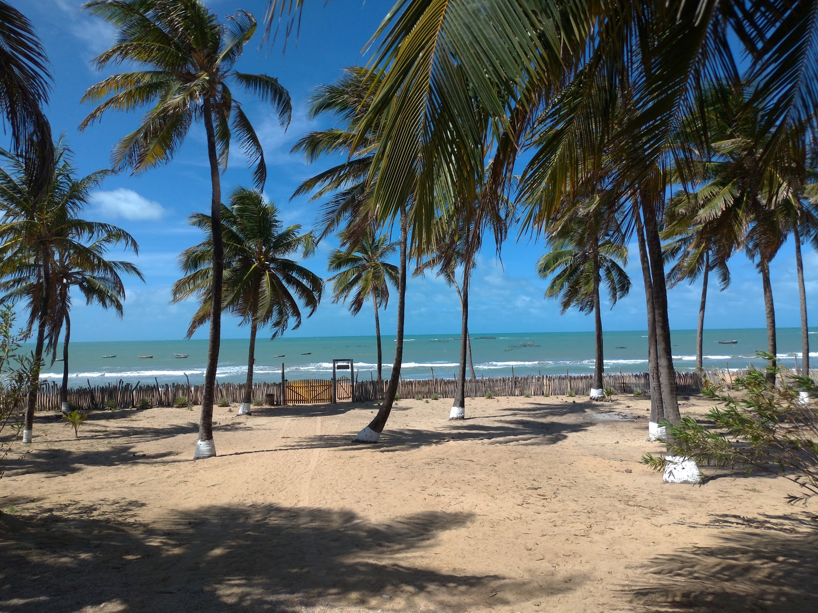 Foto von Praia de Moitas - beliebter Ort unter Entspannungskennern