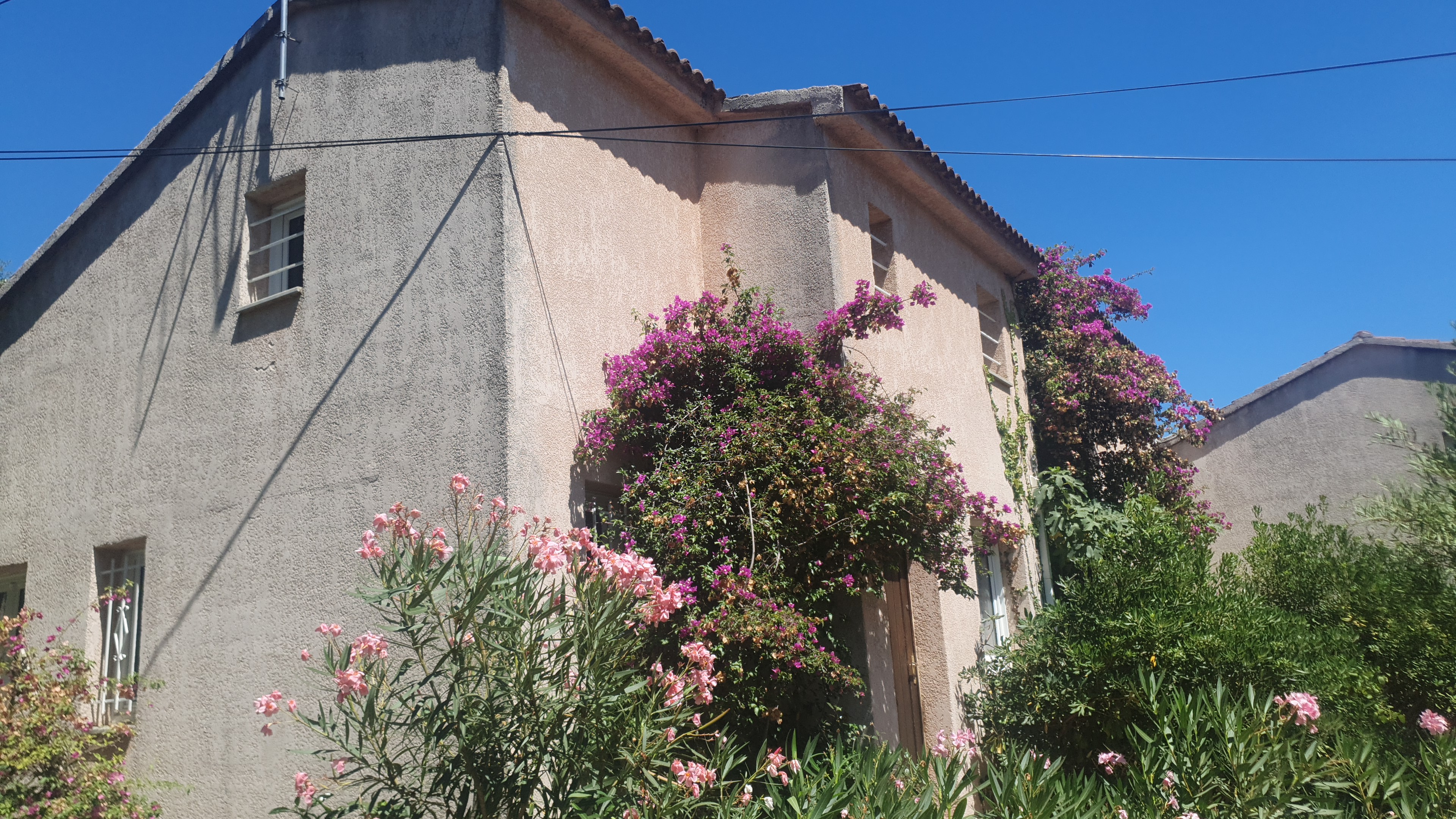 Photo n° 3 de l'avis de Tanguy.o fait le 31/07/2023 à 10:34