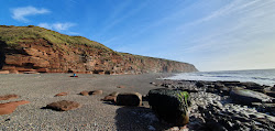 Fleswick Bay Beach'in fotoğrafı ve güzel manzarası