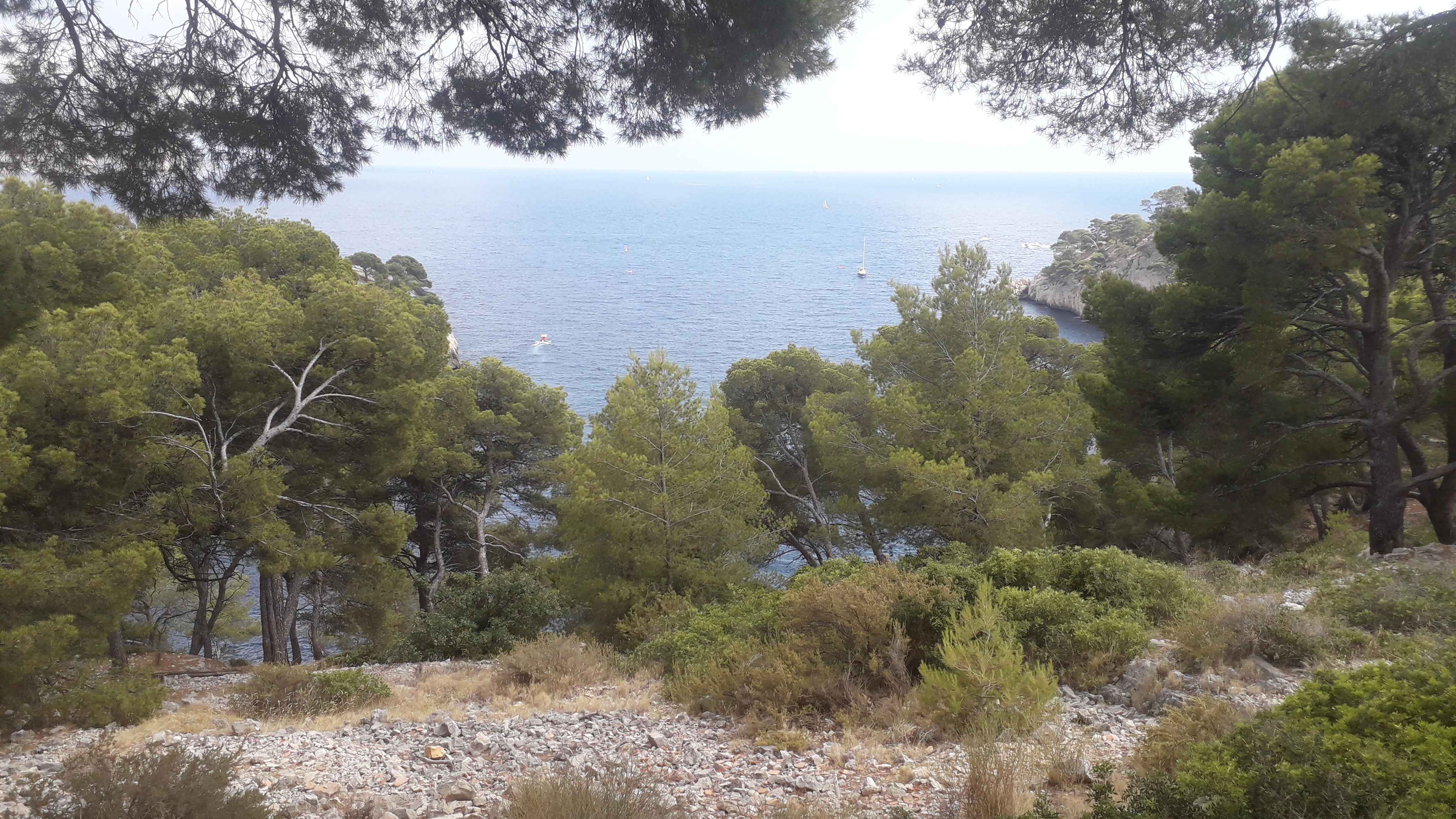 Photo n° 2 de l'avis de Rachid. fait le 29/07/2021 à 12:25