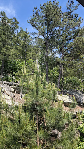 Tourist Attraction «SkyHike®», reviews and photos, Memorial Hall Cir, Stone Mountain, GA 30087, USA