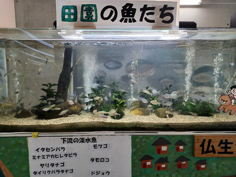 ひみラボ水族館