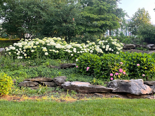 Auditorium «IU Auditorium», reviews and photos, 1211 E 7th St, Bloomington, IN 47405, USA