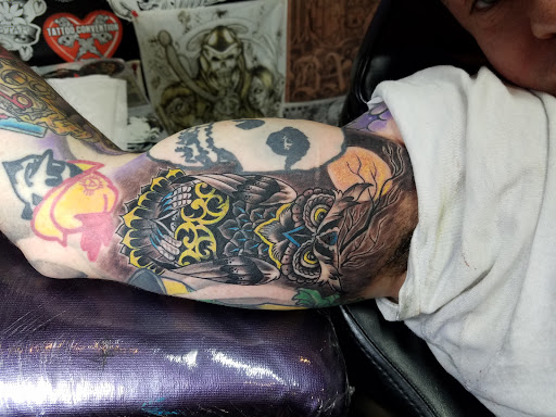 Explore thistle tattoo ideas, creative tattoo ideas in Albuquerque, available at Por Vida Tattoo