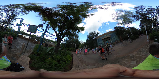 Tourist Attraction «Finding Nemo - The Musical», reviews and photos, Dinoland U.S.A., Kissimmee, FL 34747, USA