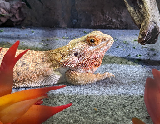 Aquarium «Aquarium of Boise», reviews and photos, 64 N Cole Rd, Boise, ID 83704, USA