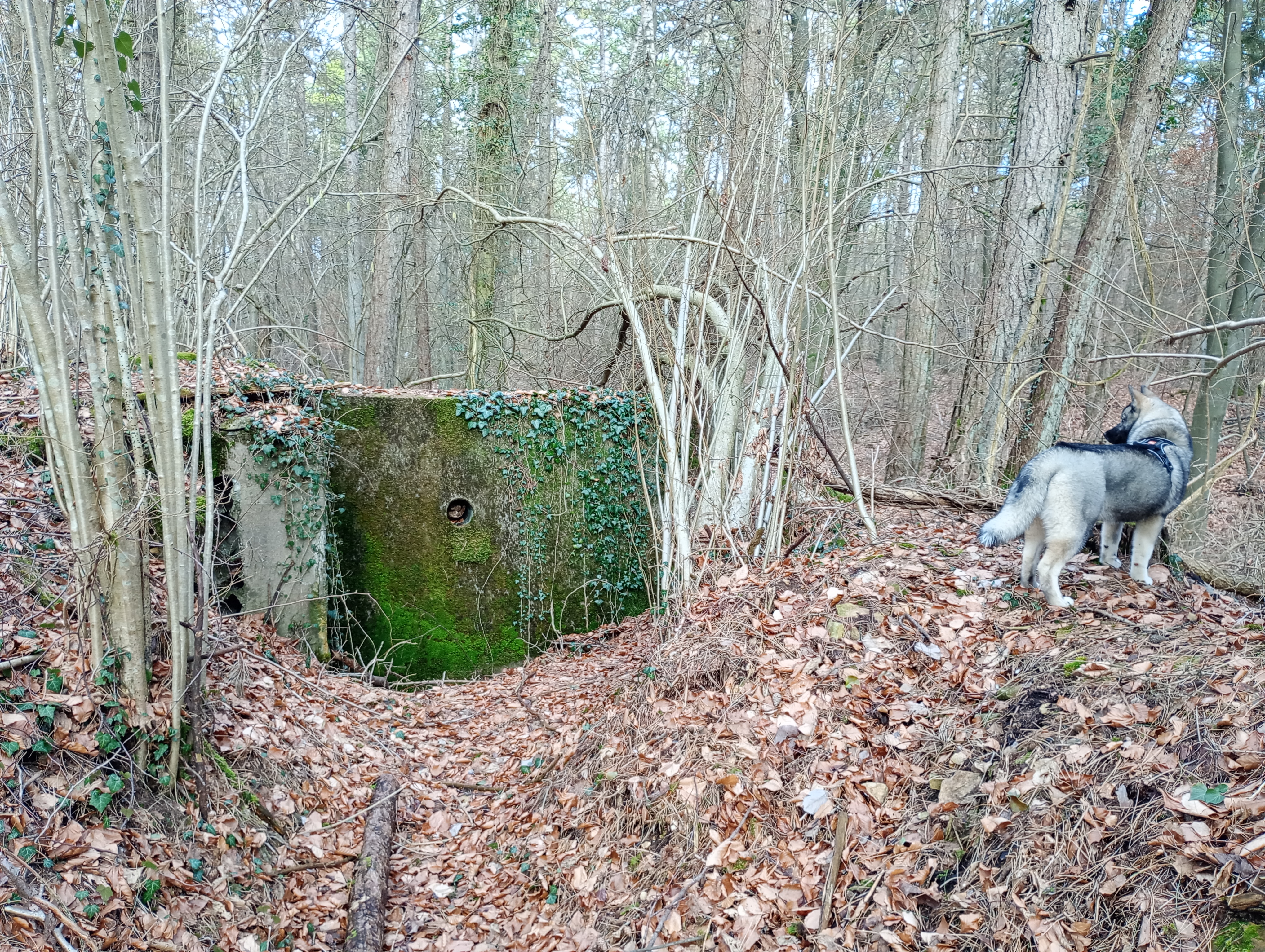 Photo n° 7 de l'avis de Phidis.a fait le 31/01/2024 à 22:31