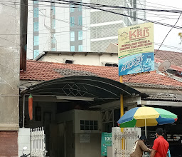 Bebek Kayu Tangan photo