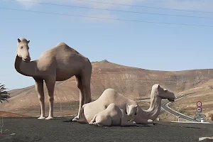 Rotonda de Los Camellos image