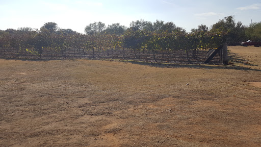 Winery «Barking Rocks Vinyard & Winery», reviews and photos, 1919 Allen Ct, Granbury, TX 76048, USA