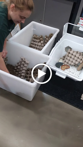 Pet Supply Store «Pet Supermarket», reviews and photos, 151 E Van Fleet Dr, Bartow, FL 33830, USA