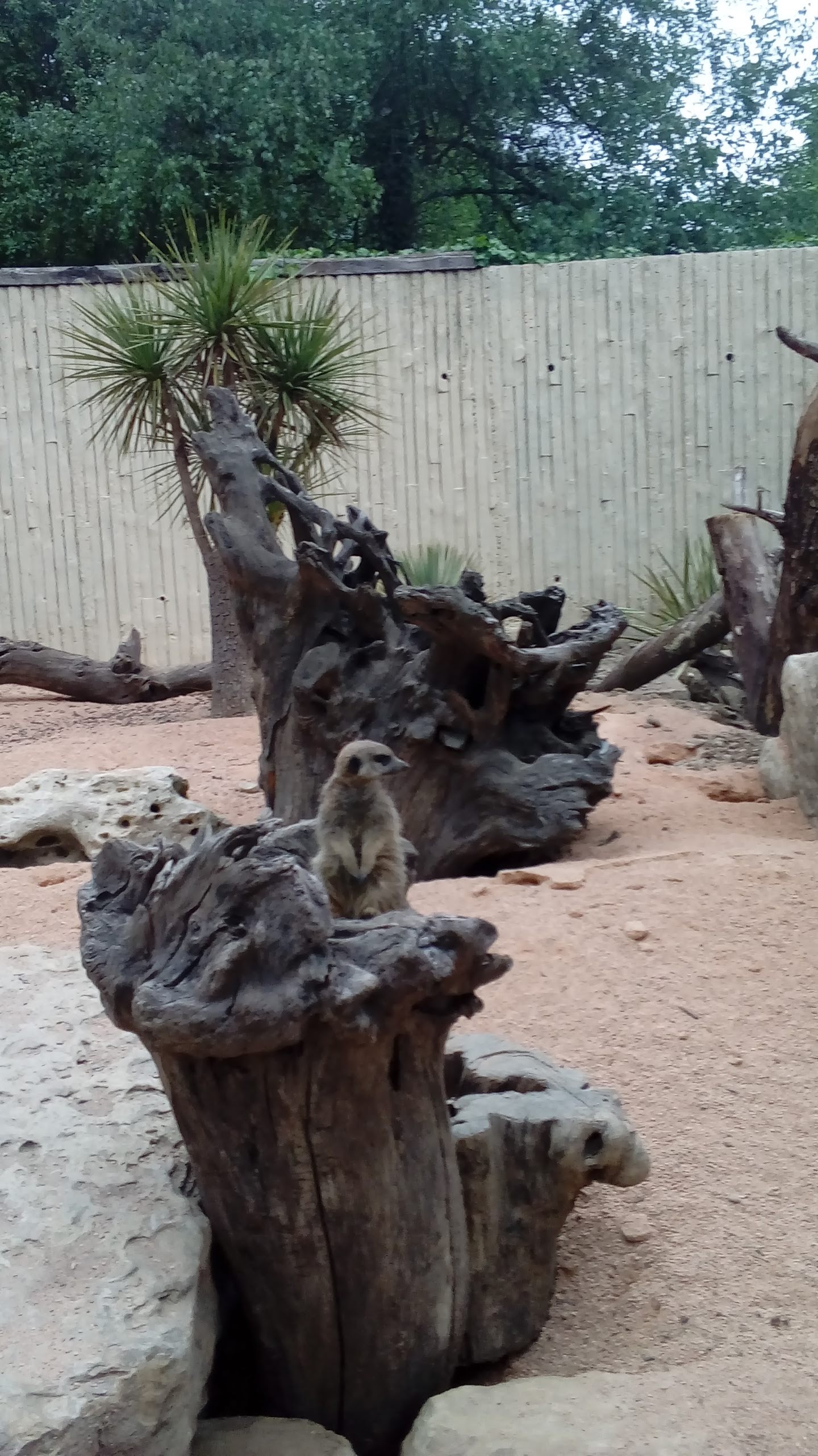 Photo n° 4 de l'avis de Yvette.i fait le 10/05/2019 à 15:28