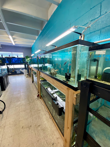 Aquarium «Skoolz of Fish», reviews and photos, 1503 Chamberlayne Ave, Richmond, VA 23222, USA