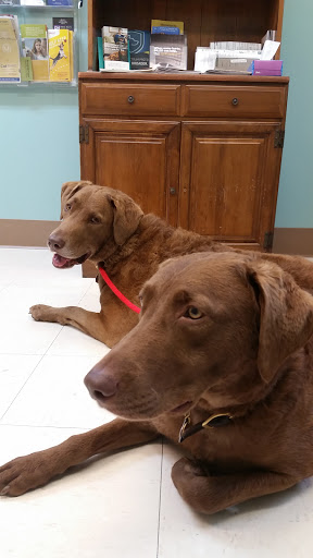 Old Lyme Veterinary Hospital image