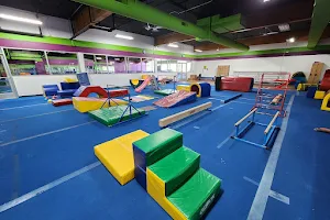 Adrenaline Gymnastics Academy image