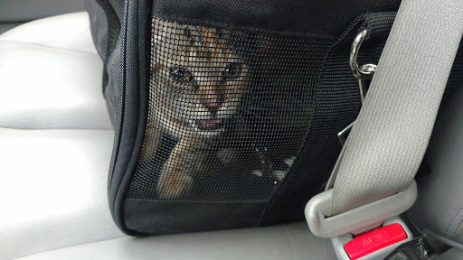 Pet Supply Store «Pet Supplies Plus», reviews and photos, 5394 Kemps River Dr Suite 101, Virginia Beach, VA 23464, USA