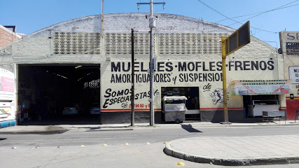 Muelles, Mofles y Frenos de León