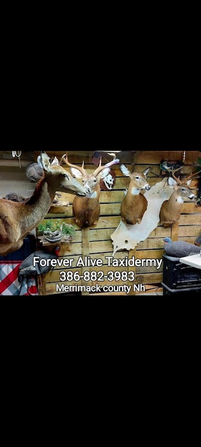 Forever Alive Taxidermy