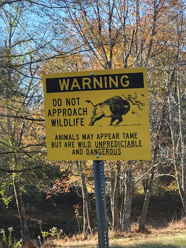 Visitor Center «Golden Pond Visitor Center & Planetarium», reviews and photos, 238 Visitor Center Dr, Golden Pond, KY 42211, USA