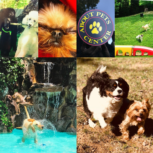 About Pets Center, 1604 Conehurst Blvd, Salem, VA 24153, USA, 