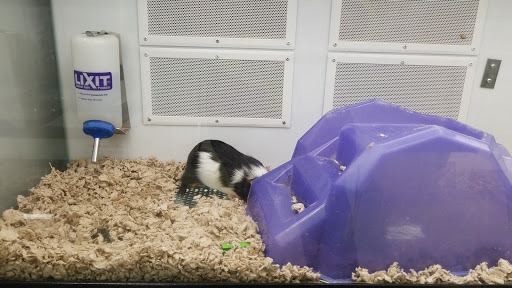 Pet Supply Store «Petco Animal Supplies», reviews and photos, 3680 Spencer Hwy, Pasadena, TX 77504, USA