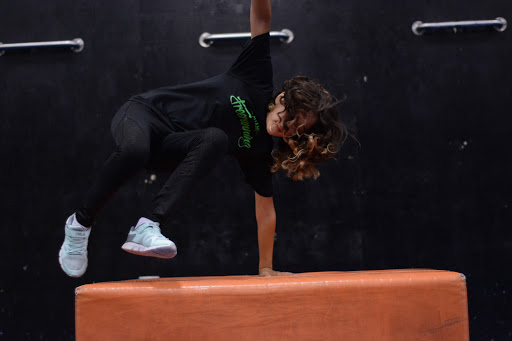 Gymnastics Center «Miami Freerunning Academy», reviews and photos, 8284 NW 66th St, Miami, FL 33166, USA