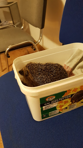 Tierarztpraxis Dr.Uwe Boffin und Sarah Mohrin Gbr unter Hünxe, Nordrhein-Westfalen