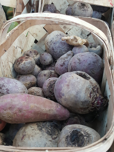 Produce Market «Jams Produce», reviews and photos, 1451 Clearwater Largo Rd N, Largo, FL 33770, USA