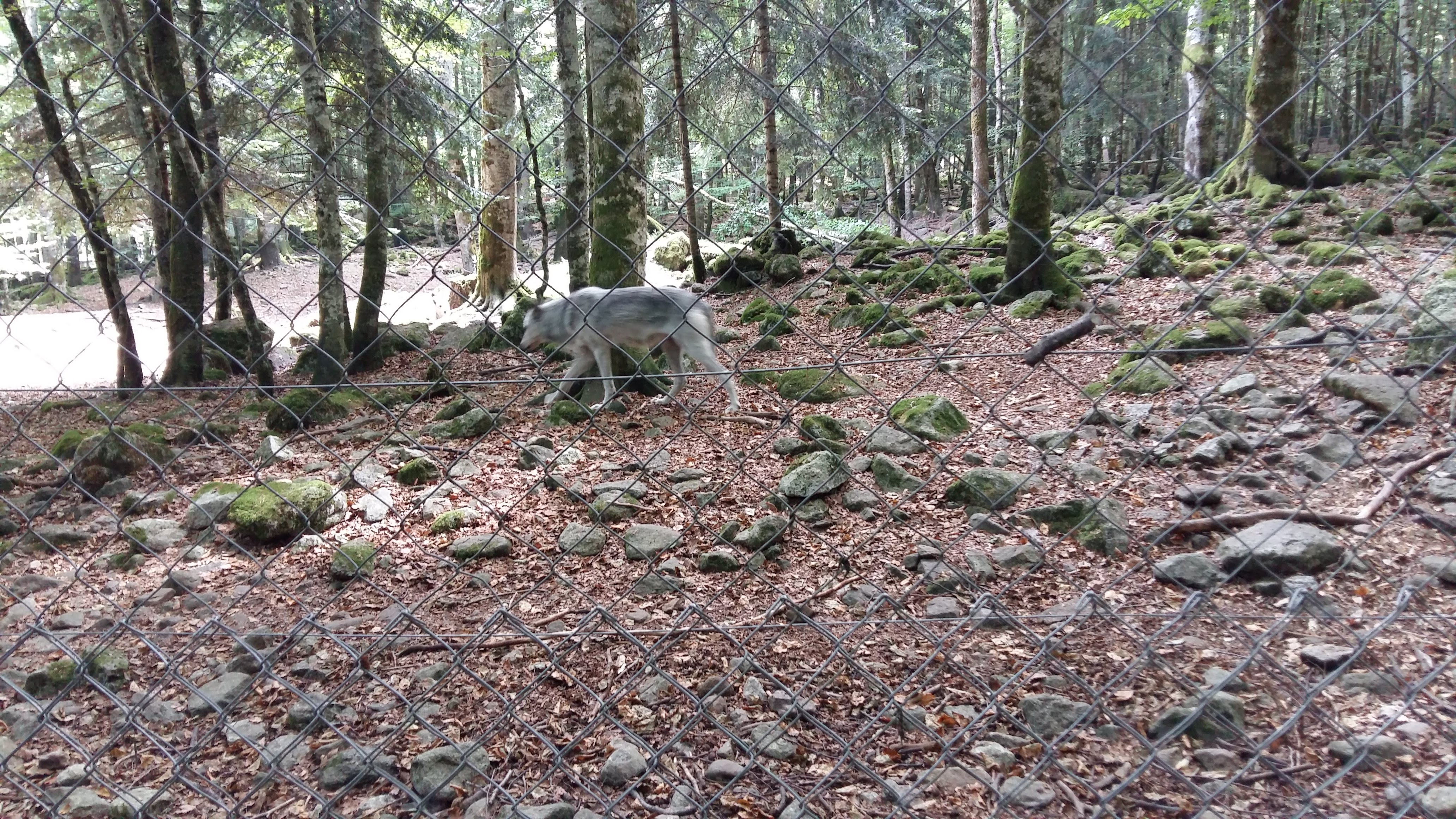 Photo n° 2 de l'avis de aerobat.o fait le 17/08/2018 à 15:17