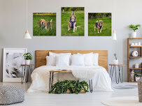 Gretchen Otero Photography - Photo 5 - Car repair in , San Diego