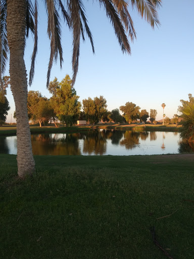 Golf Course «Tres Rios Golf Course», reviews and photos, 15205 W Vineyard Ave, Goodyear, AZ 85338, USA