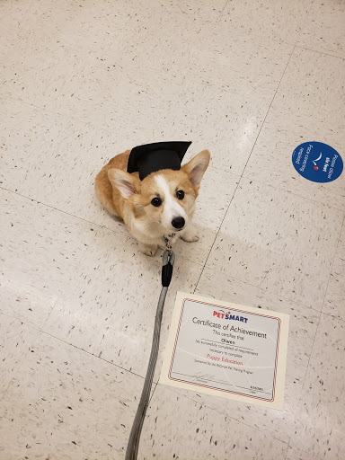 Pet Supply Store «PetSmart», reviews and photos, 742 S Meadow St, Ithaca, NY 14850, USA