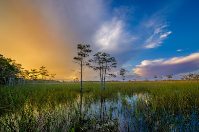 Everglades Gallery