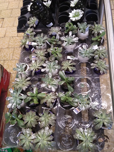 Supermarket «ALDI», reviews and photos, 4833 Oakton St, Skokie, IL 60077, USA