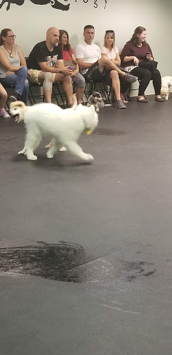 Pet Supply Store «Dogology», reviews and photos, 166 Albany Turnpike, Canton, CT 06019, USA