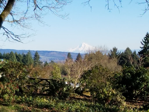 Winery «Sokol Blosser Winery», reviews and photos, 5000 NE Sokol Blosser Ln, Dayton, OR 97114, USA