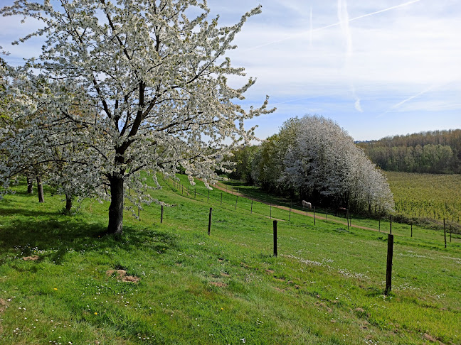 Beoordelingen van Devos-Theunis / S. in Genk - Supermarkt