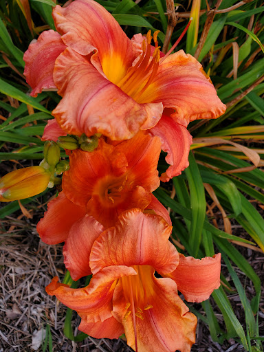 Park «Purgatory Creek Park Pavilion», reviews and photos, 13001 Technology Dr, Eden Prairie, MN 55344, USA