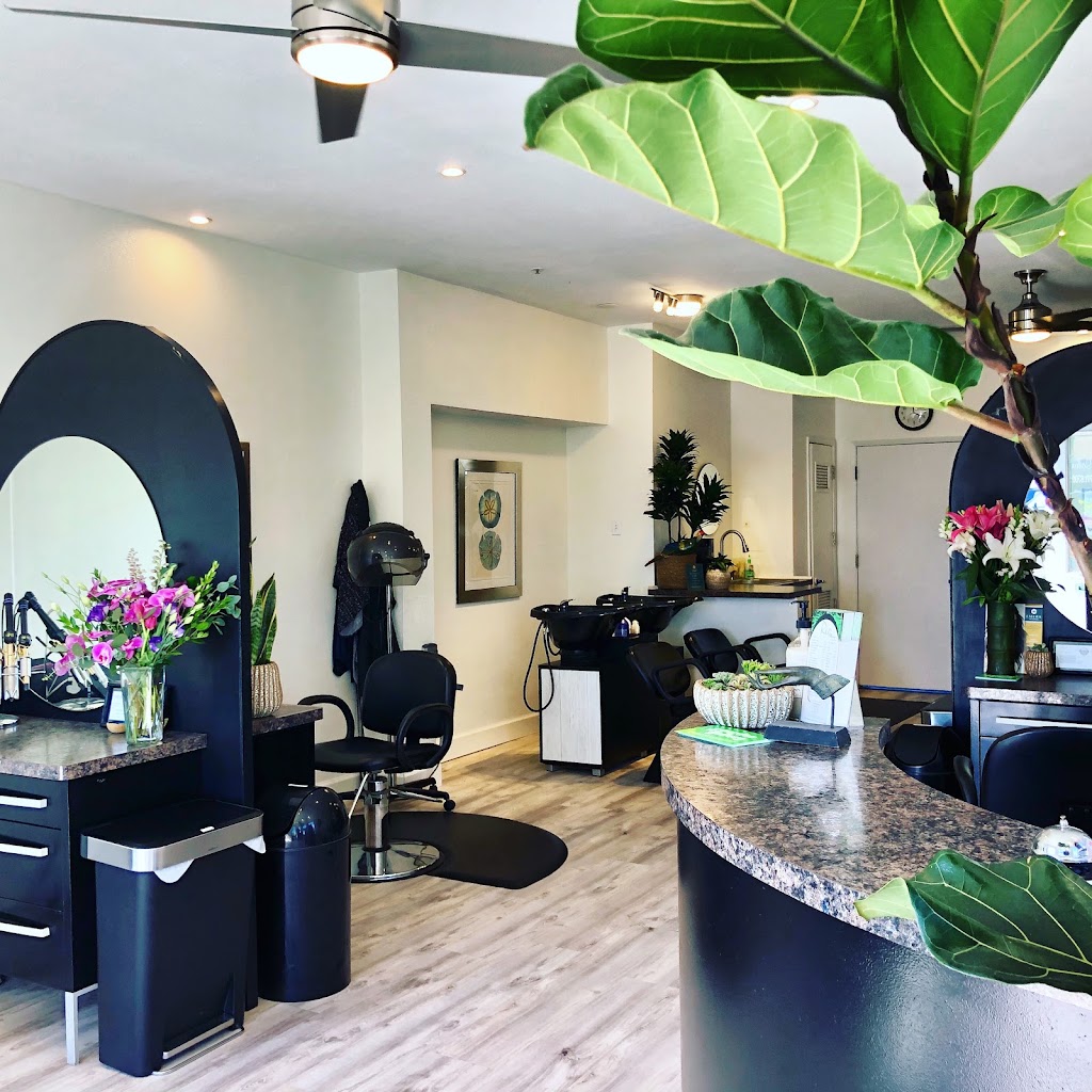 Rio Salon and Spa 93430