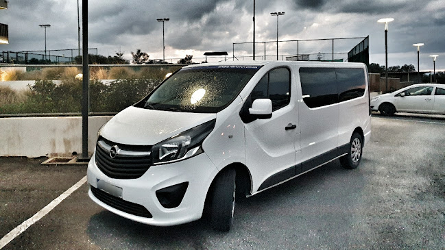 Minibus Transfer Chania Services in Crete