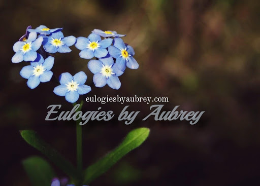 Eulogies by Aubrey